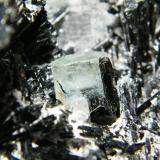 Schorl and Beryl (variety aquamarine)<br />Erongo Mountain, Usakos, Erongo Region, Namibia<br />200x130x120mm<br /> (Author: Heimo Hellwig)