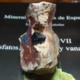 Azurita<br />Kerrouchen, Provincia Khénifra, Región Beni Mellal-Khenifra, Marruecos<br />35x60 mm<br /> (Autor: Ignacio)