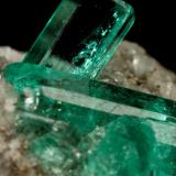 Beryl (variety emerald), Calcite, PyriteChivor (distrito minero), Municipio Chivor, Cinturón Esmeraldífero Oriental, Departamento Boyacá, Colombialargest xl=11mm (Author: Fiebre Verde)