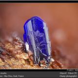 Azurite<br />Mas Dieu, Mercoirol, Alès, Gard, Occitanie, France<br />fov 1.8 mm<br /> (Author: ploum)