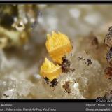 Wulfenite<br />Valaury Mine, Plan-de-la-Tour, Draguignan, Var, Provence-Alpes-Côte d'Azur, France<br />fov 4.5 mm<br /> (Author: ploum)