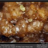 Grossular variety hessonite (Garnet Group)<br />Falin Lake, Usseglio, Val di Viù / Viù Valley, Lanzo Valleys (Valli di Lanzo), Metropolitan City of Turin Province, Piedmont (Piemonte), Italy<br />fov 4.5 mm<br /> (Author: ploum)