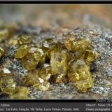 EpidoteLago Falin, Usseglio, Val di Viù / Valle Viù, Valles Lanzo (Valli di Lanzo), Provincia Ciudad metropolitana de Turín, Piamonte (Piemonte), ItaliaFov 4.5 mm (Author: ploum)