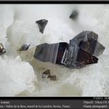 Anatase<br />Vallon de la Rave, La Lauzière Massif, Saint-Jean-de-Maurienne, Savoie, Auvergne-Rhône-Alpes, France<br />fov 1.8 mm<br /> (Author: ploum)