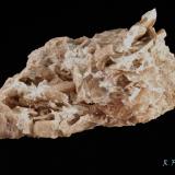 Axinita-(Mg)<br />Cantera Loma del Enjambradero, El Zurcido, Adamuz, Comarca Alto Guadalquivir, Córdoba, Andalucía, España<br />8 x 5 x 3 cm<br /> (Autor: Ricardo Fimia)