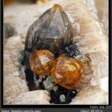 Spessartine, Quartz and Muscovite<br />Wushan Spessartine prospects, Tongbei, Yunxiao, Zhangzhou Prefecture, Fujian Province, China<br />fov 9 mm<br /> (Author: ploum)