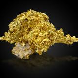 Gold on Quartz<br />Mockingbird Mine, Colorado area, Whitlock District, Mother Lode Belt, Mariposa County, California, USA<br />13,0 	x	8,0	x	9,0	cm<br /> (Author: MIM Museum)