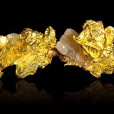 Gold on Quartz<br />Mockingbird Mine, Colorado area, Whitlock District, Mother Lode Belt, Mariposa County, California, USA<br />8,5	x	6,0	x	6,5	cm<br /> (Author: MIM Museum)