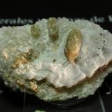 Forsterita<br />Ojén, Comarca Costa del Sol Occidental, Málaga, Andalucía, España<br />50x30 mm<br /> (Autor: Ignacio)
