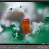 Wulfenite, Malachite and Cuprosklodowskite<br />Musonoi Mine, Kolwezi, Kolwezi District, Lualaba, Katanga Copper Crescent, Katanga (Shaba), Democratic Republic of the Congo (Zaire)<br />fov 1.8 mm<br /> (Author: ploum)