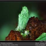 Olivenite and Conichalcite<br />Christiana Mine, Kamariza Mines, Agios Konstantinos, Lavrion Mining District, Attikí (Attica) Prefecture, Greece<br />fov 1.6 mm<br /> (Author: ploum)