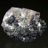 Wurtzite, Fluorapatite<br />Siglo Veinte Mine, Llallagua, Rafael Bustillo Province, Potosí Department, Bolivia<br />4.0 x 3.5 cm<br /> (Author: Don Lum)