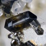 CasiteritaWendron & Falmouth District, Cornwall, England / United KingdomCampo de visión 1,9 mm. (Autor: Juan Miguel)