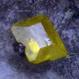 WulfenitaRowley Mine, Theba, Painted Rock District, Painted Rock Mountains, Maricopa County, Arizona, USACampo de visión 1,9 mm. (Autor: Juan Miguel)