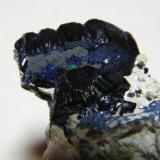 Azurite<br />Tsumeb Mine, Tsumeb, Otjikoto Region, Namibia<br />60x40mm<br /> (Author: Heimo Hellwig)