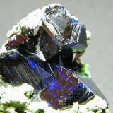 Azurite<br />Tsumeb Mine, Tsumeb, Otjikoto Region, Namibia<br />50x45mm<br /> (Author: Heimo Hellwig)