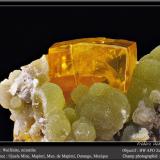 Wulfenite on MimetiteMina Ojuela, Mapimí, Municipio Mapimí, Durango, Méxicofov 11 mm (Author: ploum)