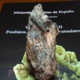 Estaurolita<br />Micaesquistos de El Palancar, El Palancar, Montejo de la Sierra, Comarca Sierra Norte, Comunidad de Madrid, España<br />35x80 mm<br /> (Autor: Ignacio)
