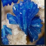 Cavansite and Stilbite<br />Pune District (Poonah District), Maharashtra, India<br />fov 11 mmm<br /> (Author: ploum)