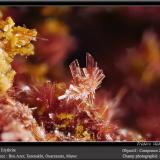 Erythrite<br />Bou Azzer mining district, Drâa-Tafilalet Region, Morocco<br />fov 2 mm<br /> (Author: ploum)