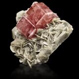 Fluorapatite (Apatite Group) on Muscovite<br />Nagar, Hunza Valley, Nagar District, Gilgit-Baltistan (Northern Areas), Pakistan<br />11,0	x	11,0	x	6,5	cm<br /> (Author: MIM Museum)