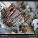 Rutile on HematiteCavradi, Curnera Valley, Tujetsch (Tavetsch), Vorderrhein Valley, Grischun (Grisons; Graubünden), Switzerlandfov 5.5 mm (Author: ploum)