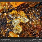 Wulfenite and Mimetite on Quartz<br />South Geronimo Mine, Silver District, Trigo Mountains, La Paz County, Arizona, USA<br />fov 4.5 mm<br /> (Author: ploum)