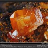 Wulfenite and Mimetite<br />South Geronimo Mine, Silver District, Trigo Mountains, La Paz County, Arizona, USA<br />fov 4.5 mm<br /> (Author: ploum)