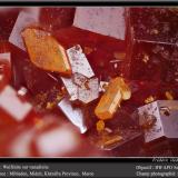 Wulfenite on Vanadinite<br />Mibladen (Mibladen mining district), Midelt, Midelt Province, Drâa-Tafilalet Region, Morocco<br />fov 4.5 mm<br /> (Author: ploum)