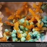 Mimetite and Malachite<br />Mas Dieu, Mercoirol, Alès, Gard, Occitanie, France<br />fov 4.5 mm<br /> (Author: ploum)