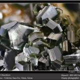 Clinochlore<br />Felskinn, Fee Glacier, Saas Fee, Saas Valley, Zermatt - Saas Fee, Wallis (Valais), Switzerland<br />fov 4.5 mm<br /> (Author: ploum)