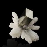 Pyrite on Quartz<br />Shangbao Mine, Leiyang, Hengyang Prefecture, Hunan Province, China<br />7,0	x	7,0	x	6,0	cm<br /> (Author: MIM Museum)