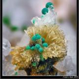 Mimetite, Malachite and QuartzMas Dieu, Mercoirol, Alès, Gard, Occitanie, Francefov 4.5 mm (Author: ploum)