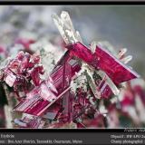 Erythrite with QuartzDistrito minero Bou Azzer, Región Drâa-Tafilalet, Marruecosfov 11 mm (Author: ploum)