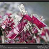 Erythrite with QuartzBou Azzer mining district, Drâa-Tafilalet Region, Moroccofov 11 mm (Author: ploum)