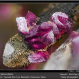 Spherocobaltite on Quartz<br />Agoudal Mines, Tansifite, Agdz, Bou Azzer mining district, Zagora Province, Drâa-Tafilalet Region, Morocco<br />fov 2.2 mm<br /> (Author: ploum)