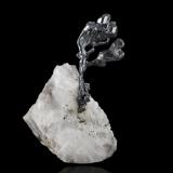 Acanthite on CalciteBote Mine, Zacatecas, Municipio Zacatecas, Mexico3,0	x	3,5	x	5,0	cm (Author: MIM Museum)