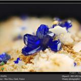 Azurite<br />Mas Dieu, Mercoirol, Alès, Gard, Occitanie, France<br />fov 4.5 mm<br /> (Author: ploum)