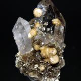 Quartz, Siderite<br />Minas da Panasqueira, Aldeia de São Francisco de Assis, Covilhã, Castelo Branco, Cova da Beira, Centro, Portugal<br />5.2 x 4.2 cm<br /> (Author: Don Lum)