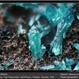 Dioptase<br />Veta Gruesa Mine, Garín Nuevo District, Copiapó Province, Atacama Region, Chile<br />fov 1.5 mm<br /> (Author: ploum)