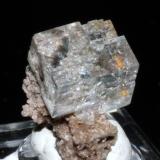 Fluorite<br />Walworth Quarry, Walworth, Wayne County, New York, USA<br />1.7 x 1.4 cm<br /> (Author: Don Lum)