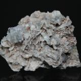 Fluorite, QuartzLinda prospect, Buena Vista District, Mineral County, Nevada, USA7.8 x 6.7 cm (Author: Don Lum)