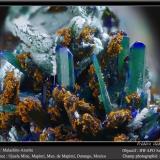 Malachite after azurite<br />Ojuela Mine, Mapimí, Municipio Mapimí, Durango, Mexico<br />fov 4.5 mm<br /> (Author: ploum)