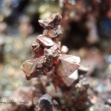 CobreBoinás Este, Plataforma 380, Boinás, Belmonte de Miranda, Comarca Oviedo, Principado de Asturias (Asturias), EspañaEncuadre 6 x 6 mm. (Autor: Rafael Galiana)
