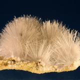 Natrolite<br />Zeilberg Quarry, Maroldsweisach, Haßberge, Lower Franconia/Unterfranken, Bavaria/Bayern, Germany<br />47 mm<br /> (Author: Gerhard Brandstetter)
