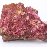 EritrinaMina Tizi, Distrito minero Bou Azzer, Provincia Zagora, Región Drâa-Tafilalet, Marruecos55 x 35x 10 mm (Autor: Iván Blanco (PDM))