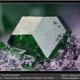 Uvarovite on Amesite<br />Saranovskii Mine, Saranovskaya (Sarany), Gornozavodskii, Perm Krai, Ural, Russia<br />fov 2.2 mm<br /> (Author: ploum)