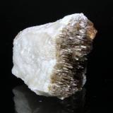 Grossular, Diopside<br />Jeffrey Mine, Asbestos, Les Sources RCM, Estrie, Québec, Canada<br />4.2 x 3.6 cm<br /> (Author: Don Lum)