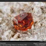 SpessartineEast Grants Ridge, Cibola County, New Mexico, USAfov 3.5 mm (Author: ploum)