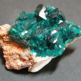 Dioptase<br />Tsumeb Mine, Tsumeb, Otjikoto Region, Namibia<br />45x25x30mm<br /> (Author: Heimo Hellwig)